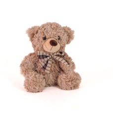 Liam Bear Gift